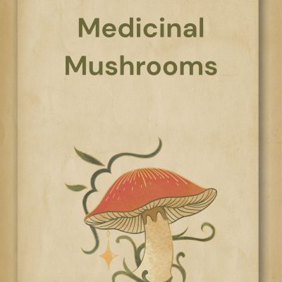 Medicinal Mushrooms