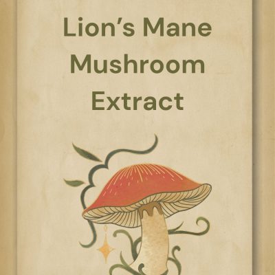 Lion's Mane Mushroom Extract