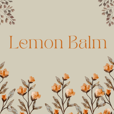 Lemon Balm Hydrosol